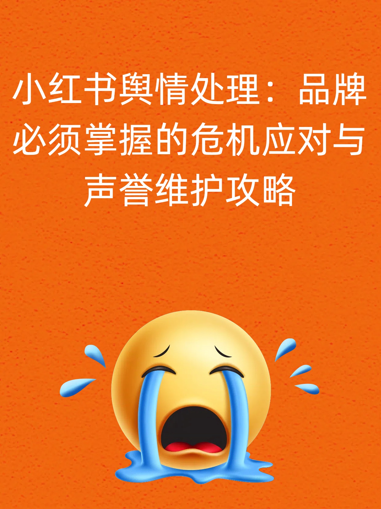 q1.jpg